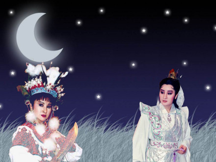 杨丽花