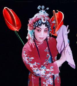 王素君(剧照3)