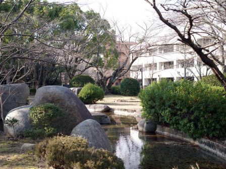 馆池