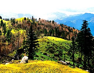 “小长白山”老爷岭