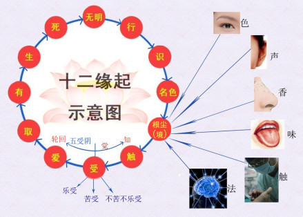 十二缘起示意图