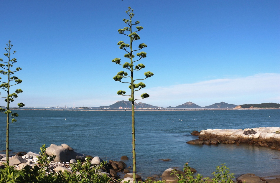 东山湾湾口西部一带海面