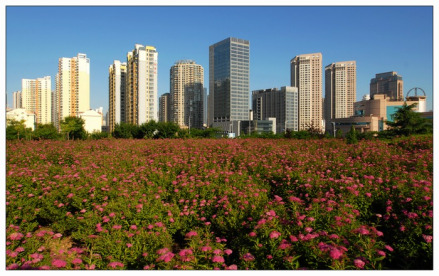 青岛经济技术开发区