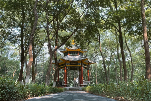 校园景色