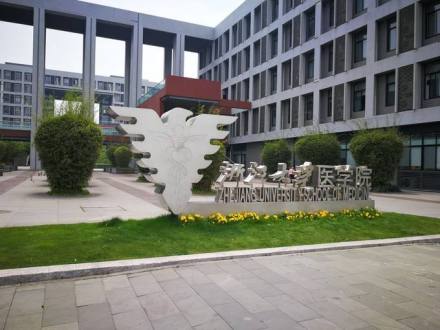 浙江大学医学院