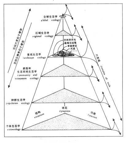 景观生态学