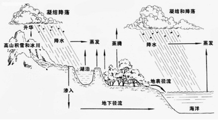 水循环示意图