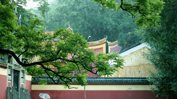 校园风景