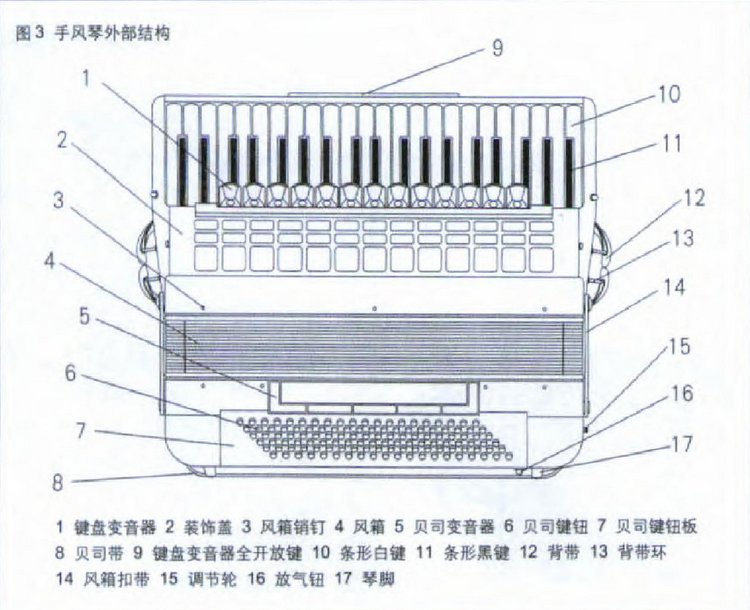 手风琴外部结构 