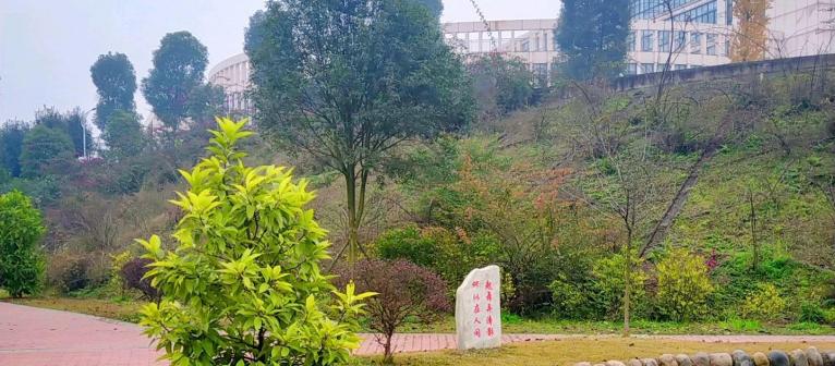 校园风光