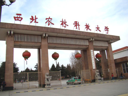 西北农林科技大学校门