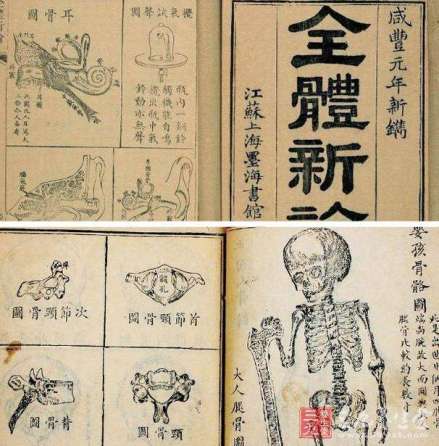 清代《全体新论》书影