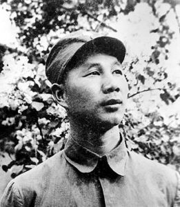 战争年代“杨成武”浑身都是胆