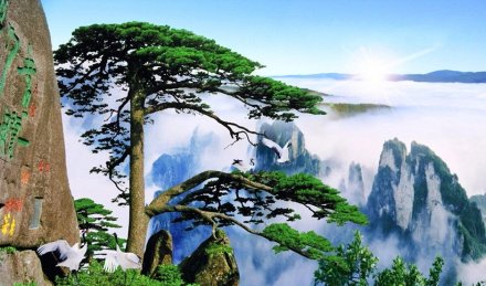 黄山