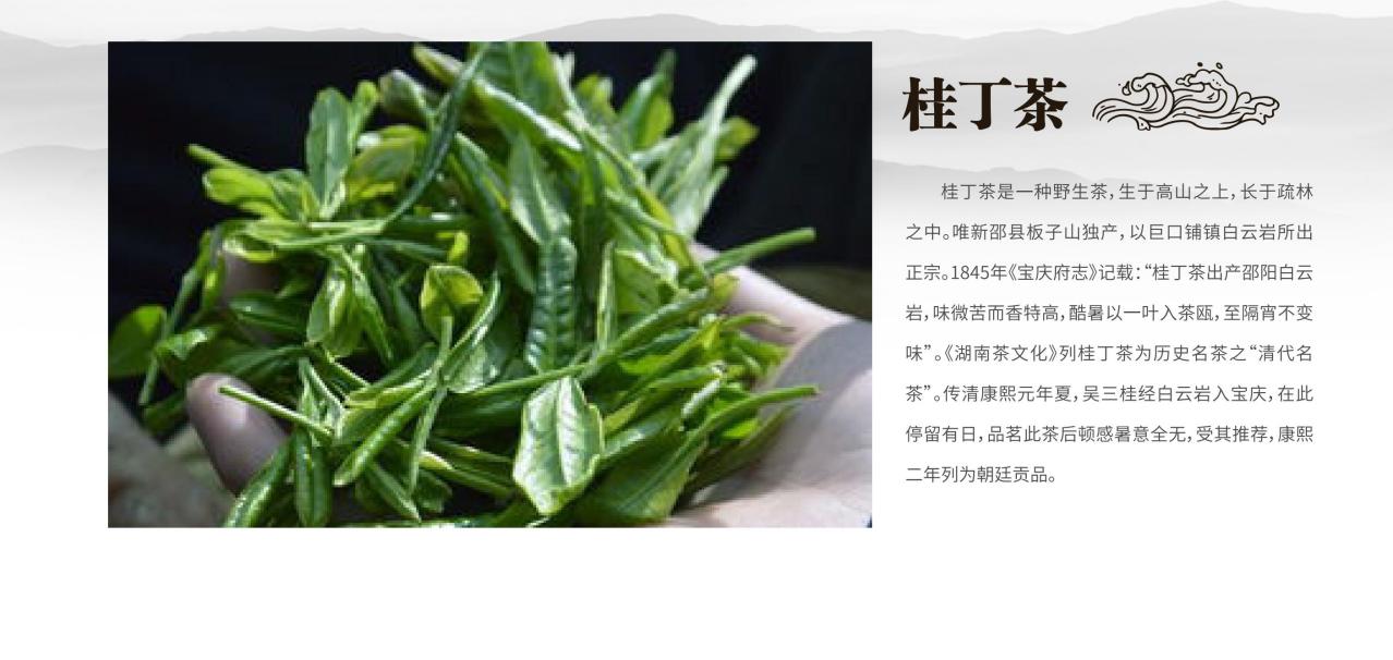 桂丁茶