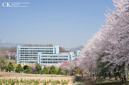 KAIST