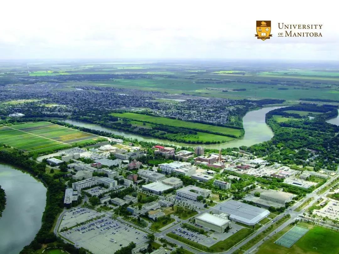 曼尼托巴大学