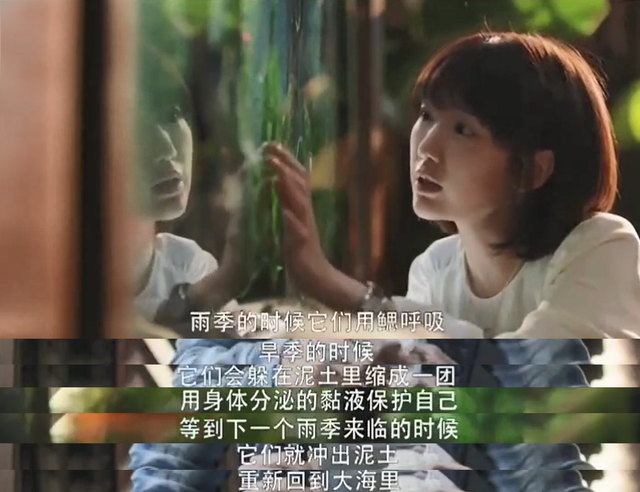 《三十而已》 