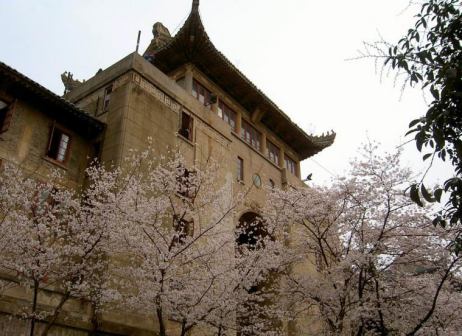 武大美景