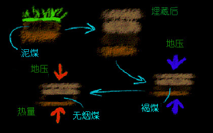 煤炭的形成