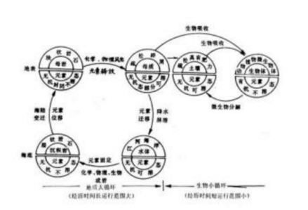 地质大循环与生物小循环