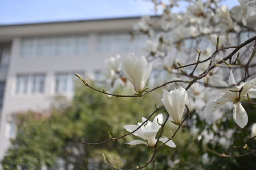 春光3