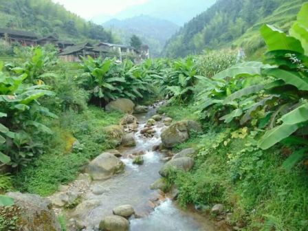 金紫山林场-芹菜坪-图来自美篇用户湘桂第一峰