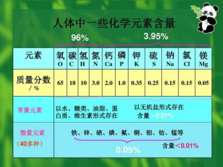 人体中的一些化学元素