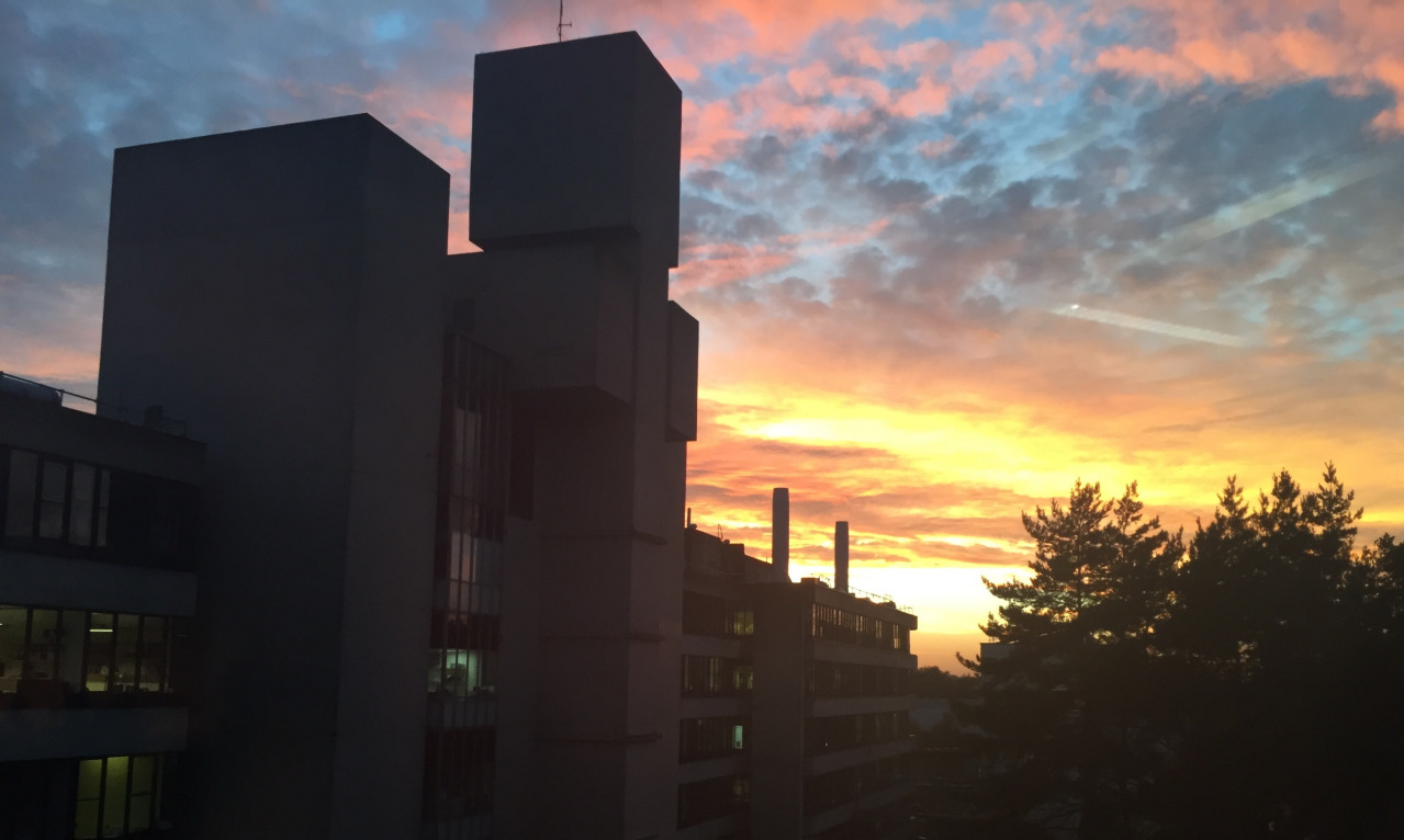 东安格利亚大学