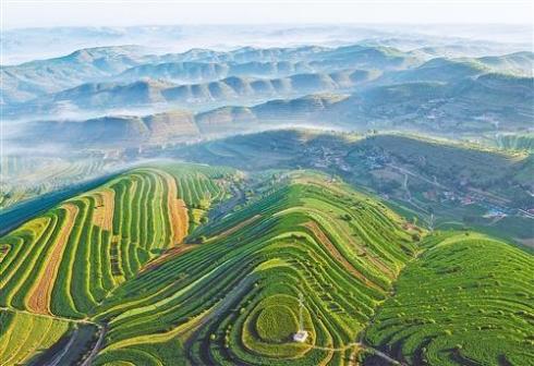 彭阳县风景