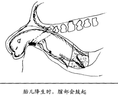 生产过程3
