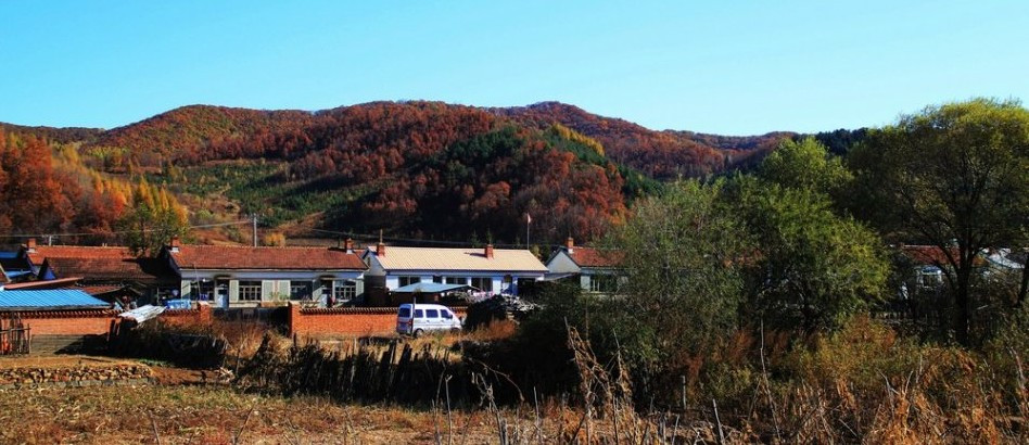 牡丹岭之寒葱岭段