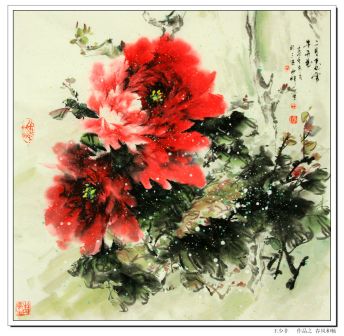 PeonySea 牡丹海  王少非 作品