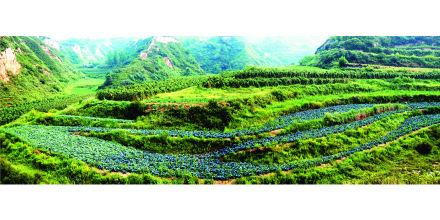 七峰山生态养殖基地