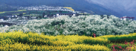 九龙山