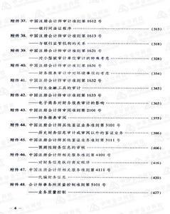 审计准则细则