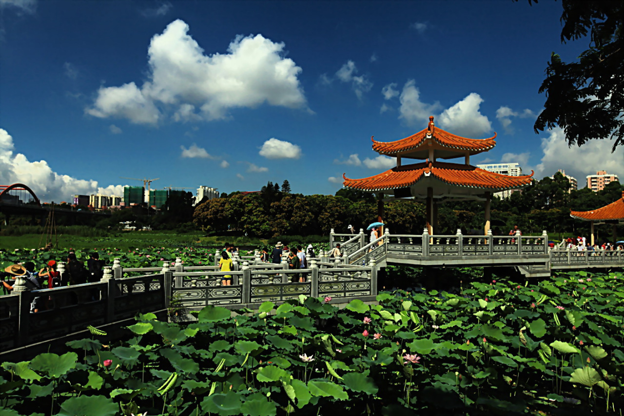洪湖公园