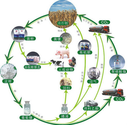 生物质能能量利用图 