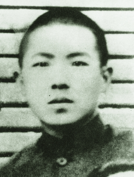 节振国