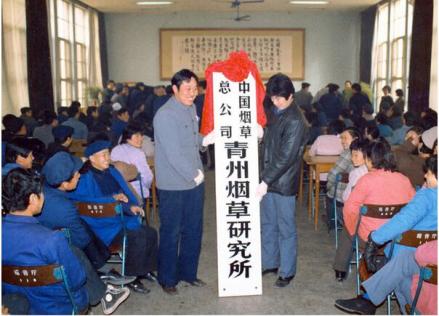历史沿革