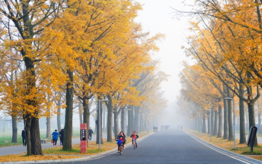 电子科技大学