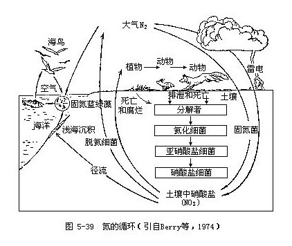 气体型循环