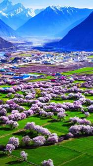 林芝市风光