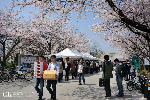 KAIST