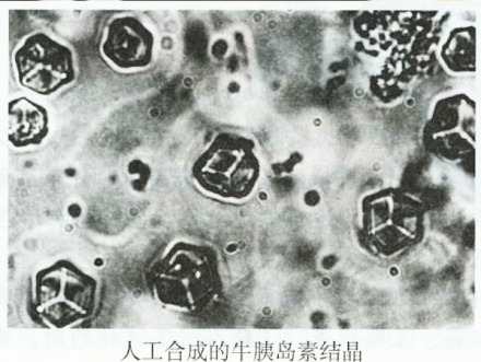 人工合成的牛胰岛素结晶