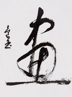 王进玉（中国书法网供图）