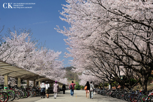 KAIST