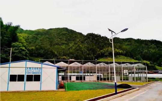 金紫山脚的和平村-图来自湖南省林业局