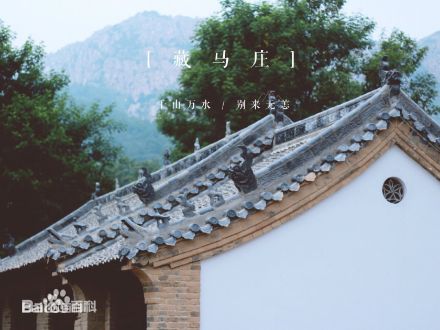 藏马庄