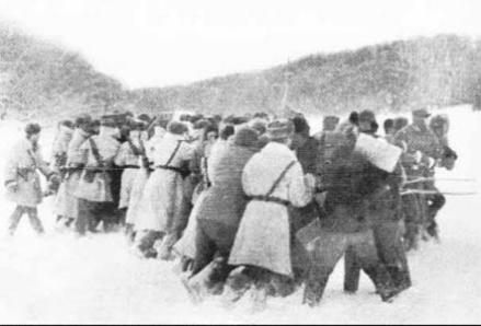 八岔岛事件